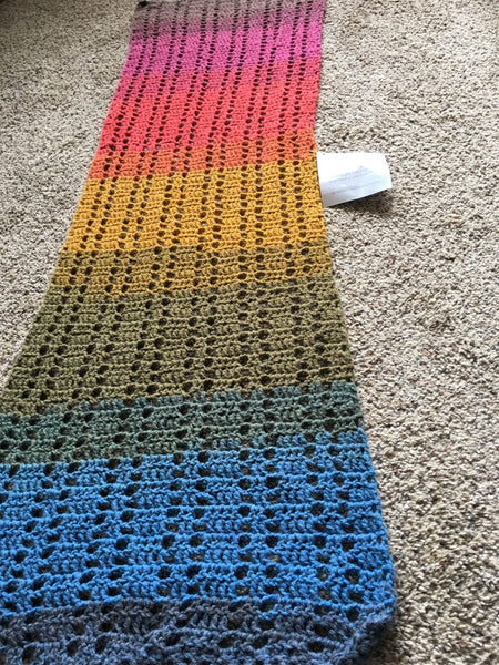 Joan Schneider NEW Rainbow Scarf