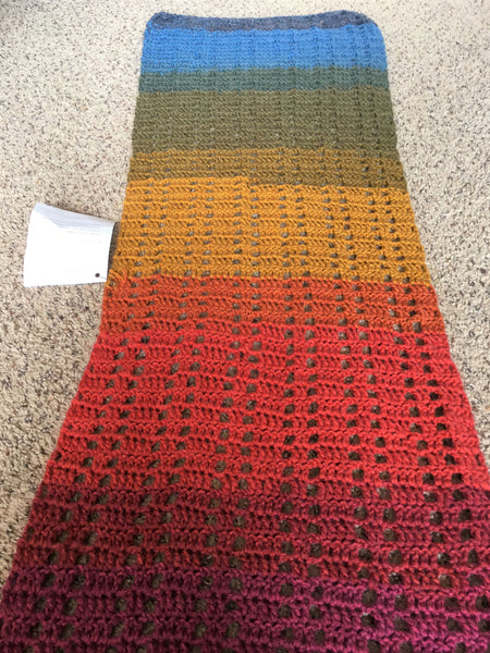 Joan Schneider NEW Rainbow Scarf