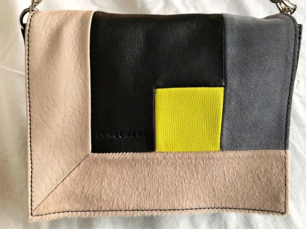 Longchamp Colorblock Art Walk Cross Body - RARE!