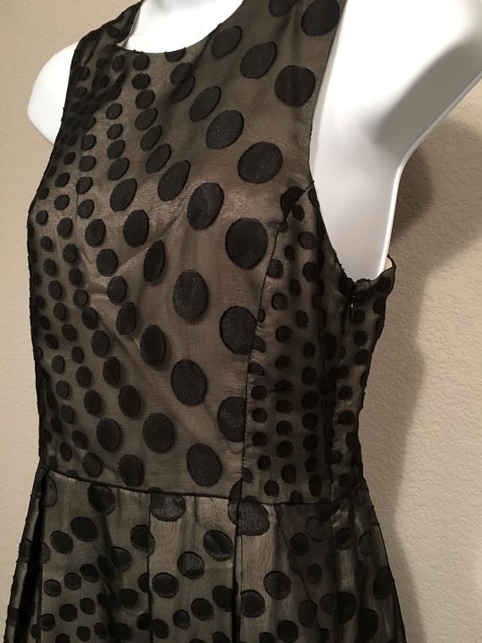 Hunter Dixon Anthropologie Size 6 Black Polka Dot Dress Black / 6