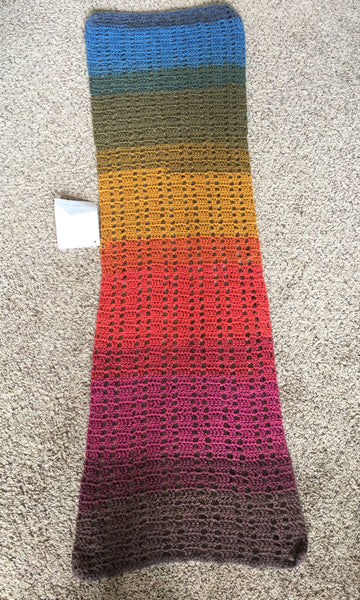 Joan Schneider NEW Rainbow Scarf